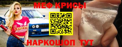 СК Новодвинск