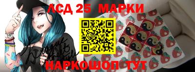 СК Новодвинск