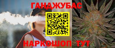 СК Новодвинск