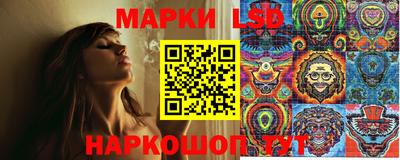 spice Новокубанск