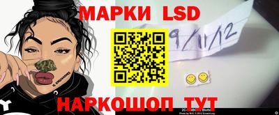 СК Новодвинск