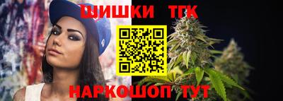 СК Новодвинск