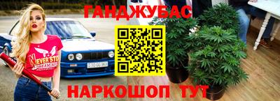 мет Новозыбков