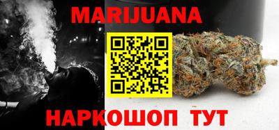 СК Новодвинск