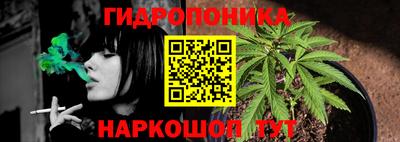 spice Новокубанск