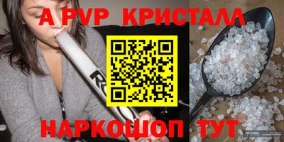 СК Новодвинск