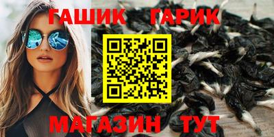 СК Новодвинск