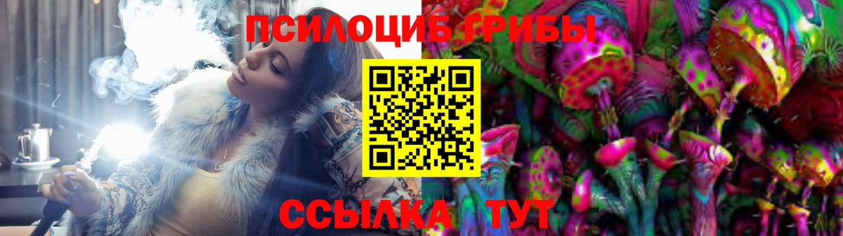 где продают   Псилоцибиновые грибы MAGIC MUSHROOMS  Вход с VPN  Буйнакск 