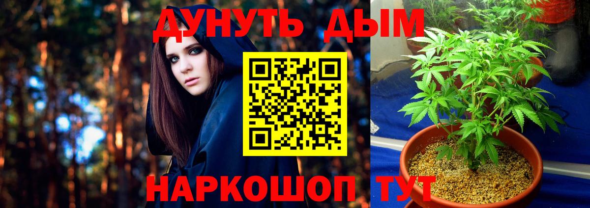 Канабис THC 21%  Марихуана OG Kush  Шишки марихуана марихуана  Конопля White Widow  Буйнакск  Вход с VPN 